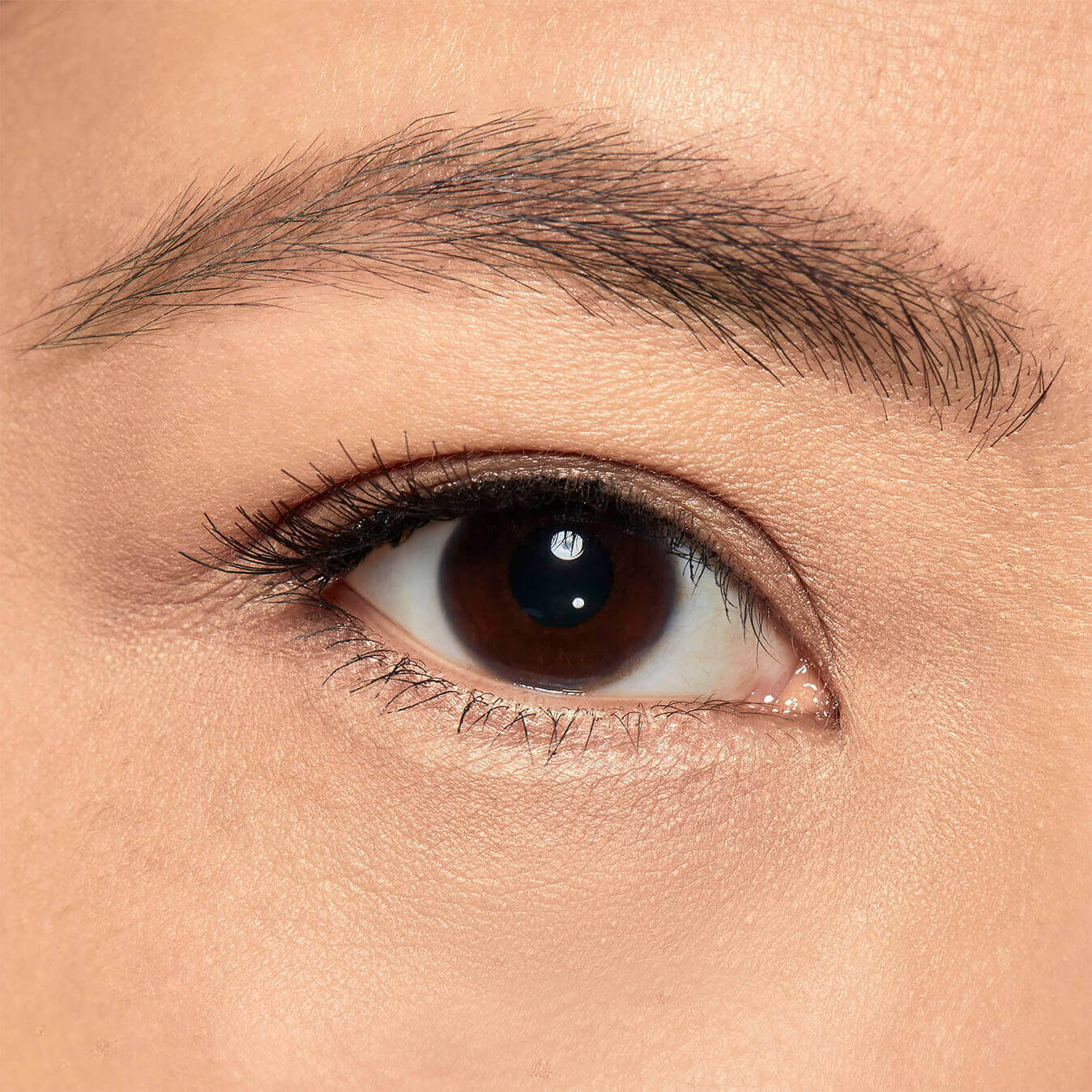 Model's eye